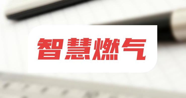 智慧燃?xì)獍踩O(jiān)管平臺(tái)：開(kāi)創(chuàng)燃?xì)獗O(jiān)管新格局